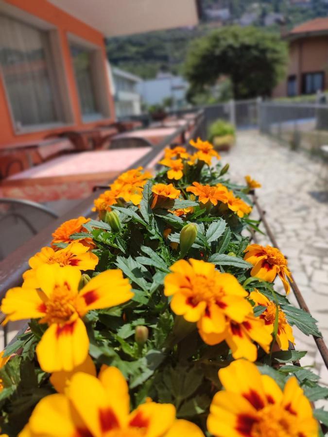 Albergo Villa Mimosa Torbole Sul Garda Exterior foto