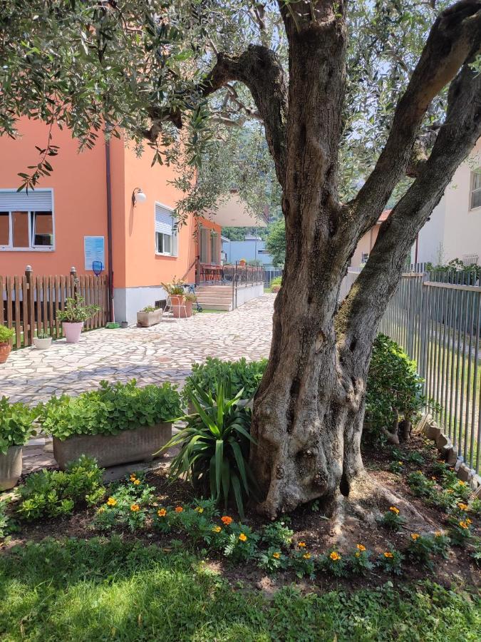 Albergo Villa Mimosa Torbole Sul Garda Exterior foto